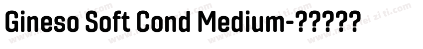 Gineso Soft Cond Medium字体转换